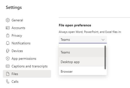 Screenshot of Microsoft Teams file settings